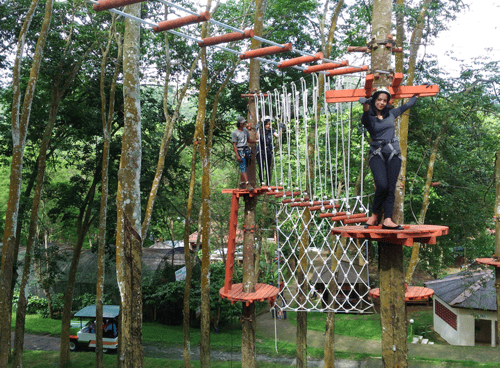 Kampoeng Kopi Banaran