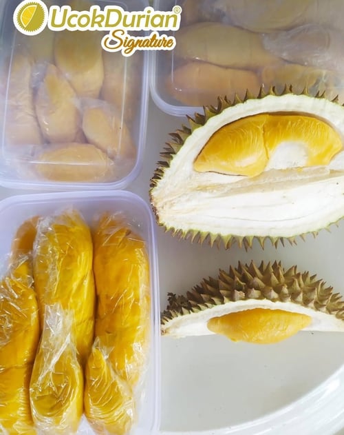 Ucok Durian Medan