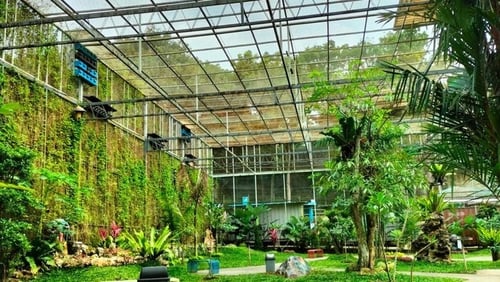 Central Park Zoo & Resort