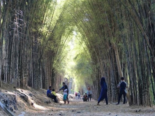 Bamboo Forest Keputih Surabaya