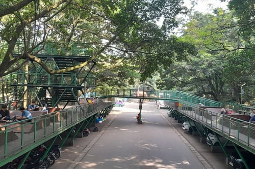 Hutan Babakan Siliwangi
