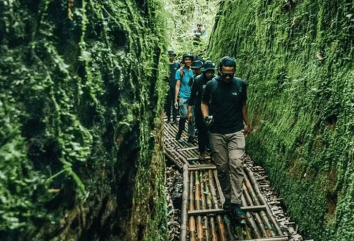 Lorong Lumut