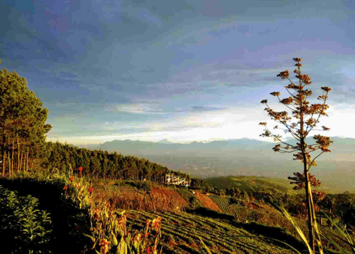 Puncak Bintang Bandung