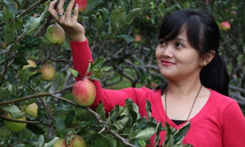 Kusuma Agrowisata