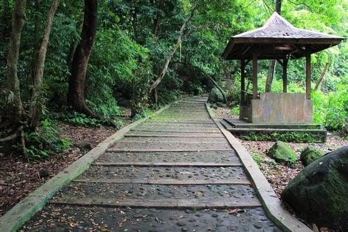 Wisata Kera Plangon, Mirip Ubud Monkey Forest