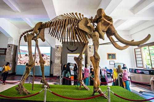 Museum Geologi Bandung