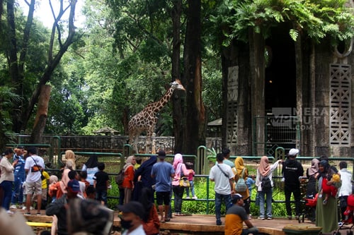 Jam Operasional & Tiket Masuk Ragunan