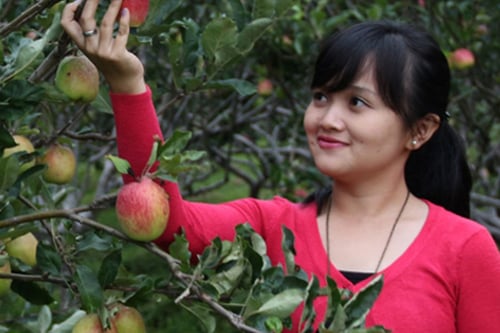 Kusuma Agrowisata
