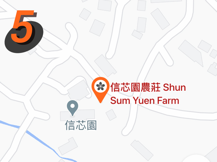 信心