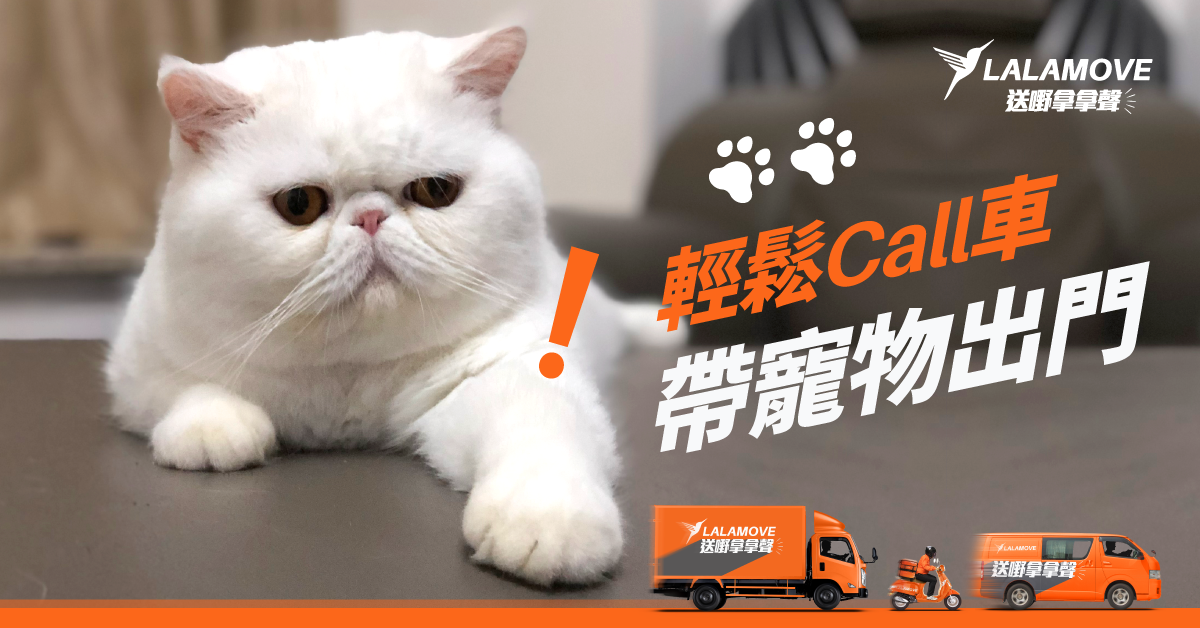 落單揀啱特別需求 輕鬆Call車帶寵物出門