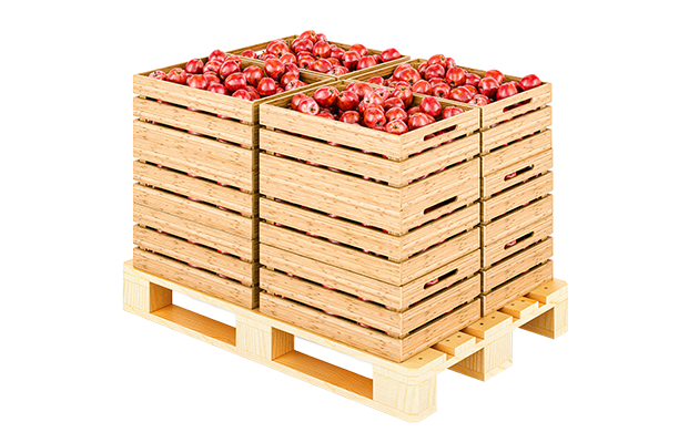 Apples