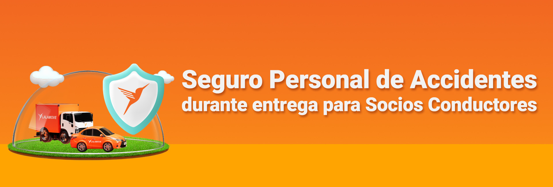 Banner DVR Insurance