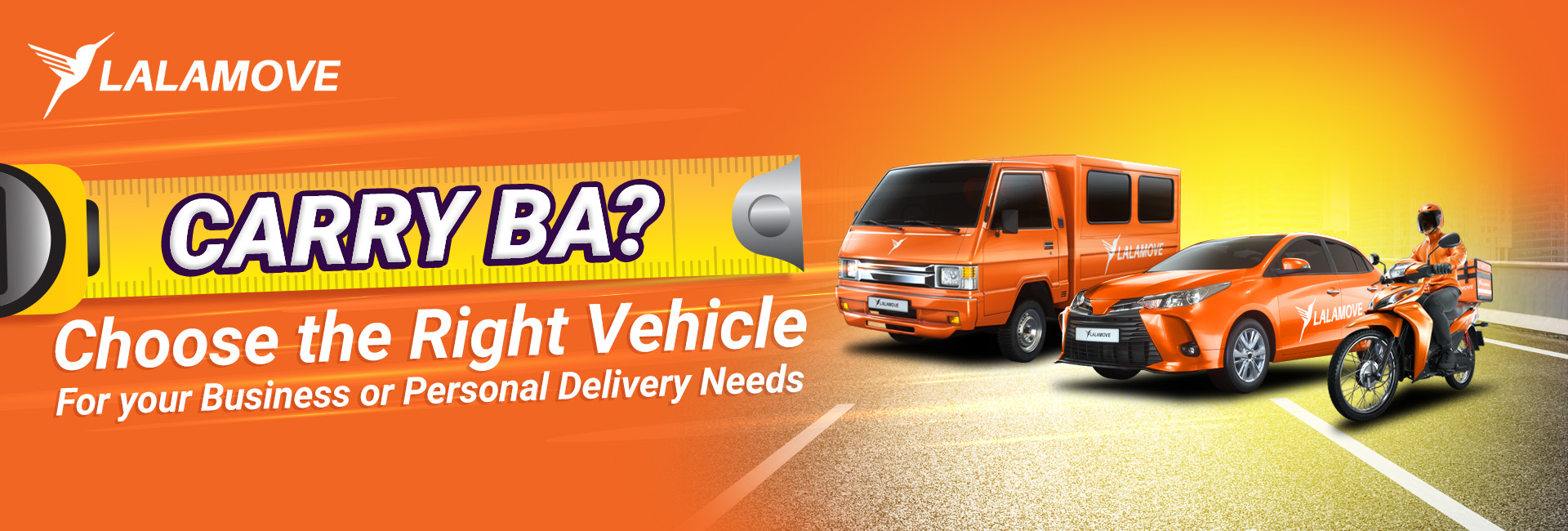 Carry Ba_ Landing Page Banner