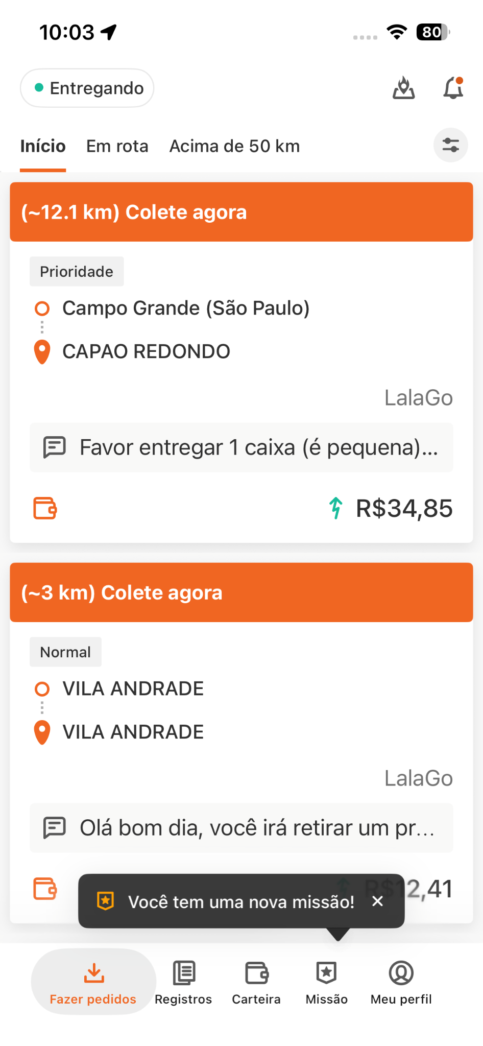FORMATO DE PRINTS (1)