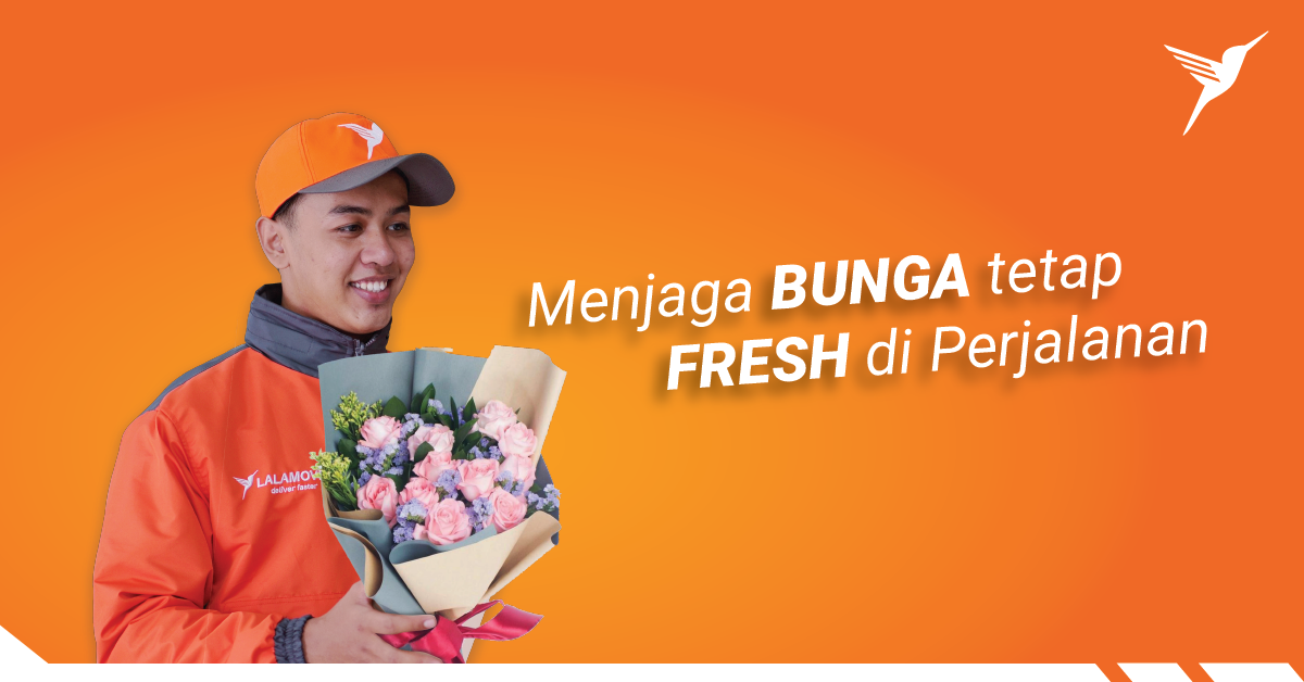 blogbunga-01