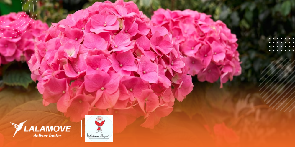 featured image 1