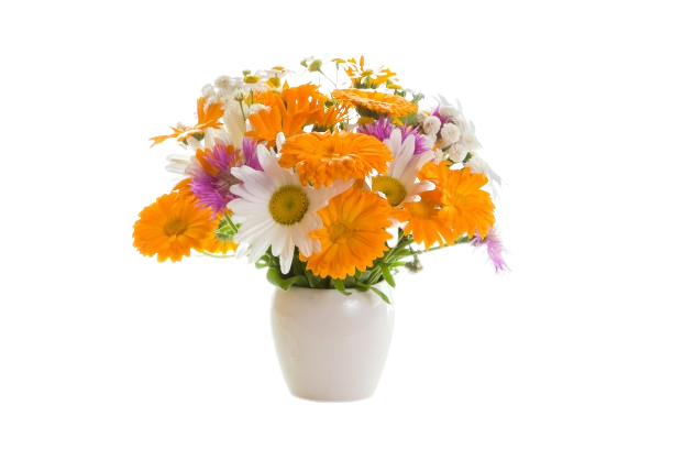 Valuable___Delicate_goods-removebg-preview (1)