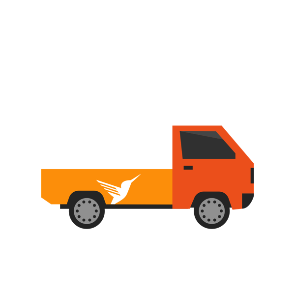 500 KG Truck