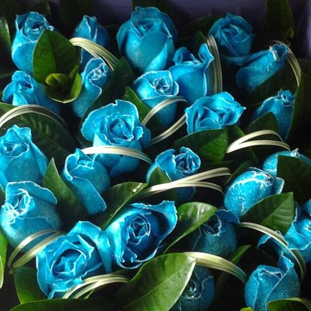 WhatsApp Image 2022-02-11 at 11.43.03 AM