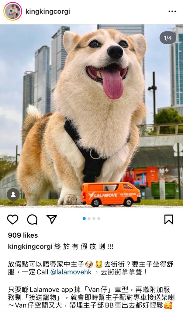 寵物接送服務用後感