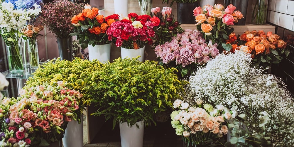 flowers-floral-shop-different-types